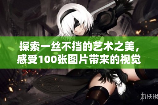 探索一丝不挡的艺术之美，感受100张图片带来的视觉极重体验