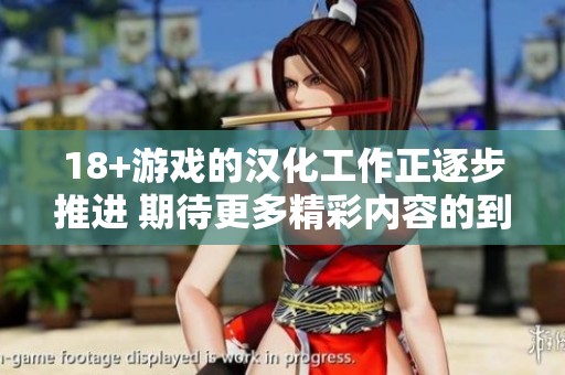 18+游戏的汉化工作正逐步推进 期待更多精彩内容的到来