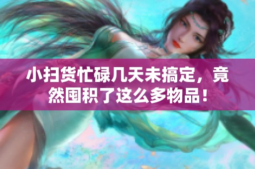 小扫货忙碌几天未搞定，竟然囤积了这么多物品！