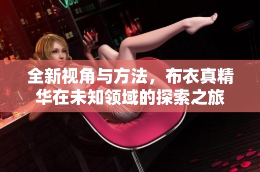 全新视角与方法，布衣真精华在未知领域的探索之旅
