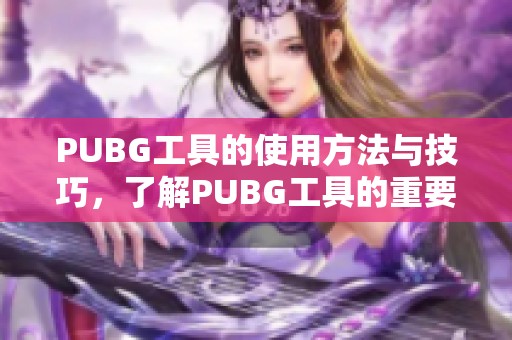 PUBG工具的使用方法与技巧，了解PUBG工具的重要性与实用性