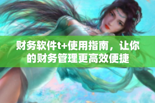 财务软件t+使用指南，让你的财务管理更高效便捷