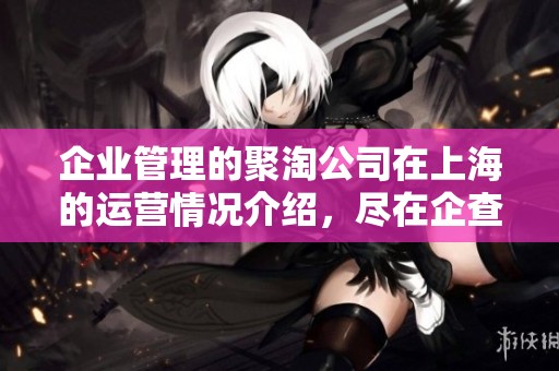 企业管理的聚淘公司在上海的运营情况介绍，尽在企查查平台上查询