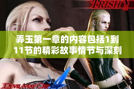 弄玉第一章的内容包括1到11节的精彩故事情节与深刻内涵