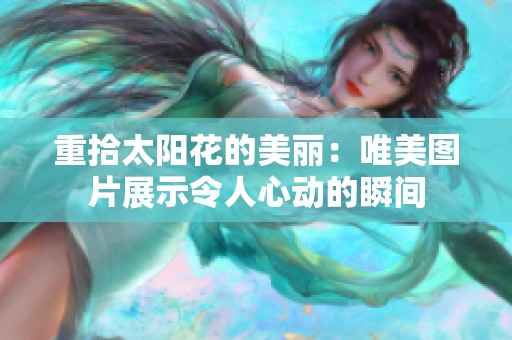 重拾太阳花的美丽：唯美图片展示令人心动的瞬间
