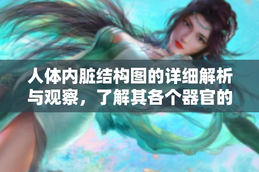 人体内脏结构图的详细解析与观察，了解其各个器官的功能与位置