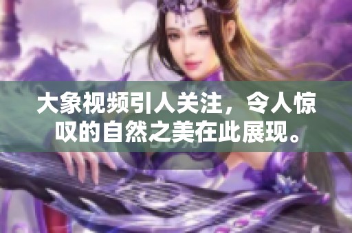 大象视频引人关注，令人惊叹的自然之美在此展现。