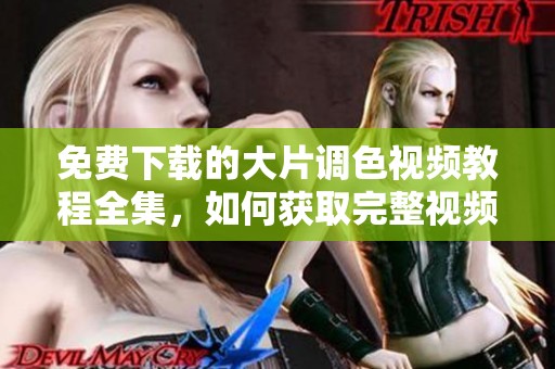 免费下载的大片调色视频教程全集，如何获取完整视频教程并享受乐趣