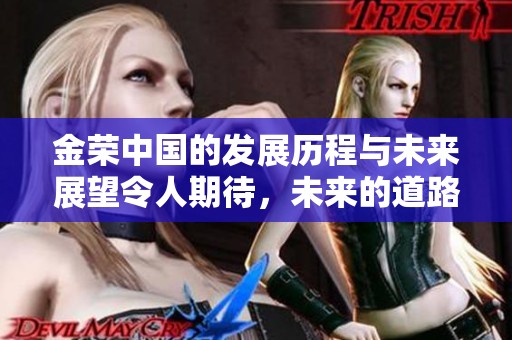 金荣中国的发展历程与未来展望令人期待，未来的道路更加光明和广阔。