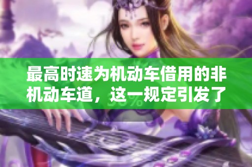 最高时速为机动车借用的非机动车道，这一规定引发了怎样的讨论与关注