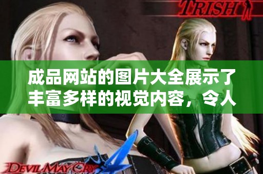 成品网站的图片大全展示了丰富多样的视觉内容，令人耳目一新