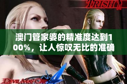 **管家婆的精准度达到100%，让人惊叹无比的准确性和可靠性