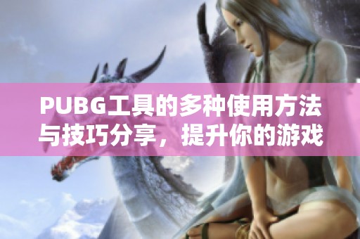 PUBG工具的多种使用方法与技巧分享，提升你的游戏体验与操作技巧