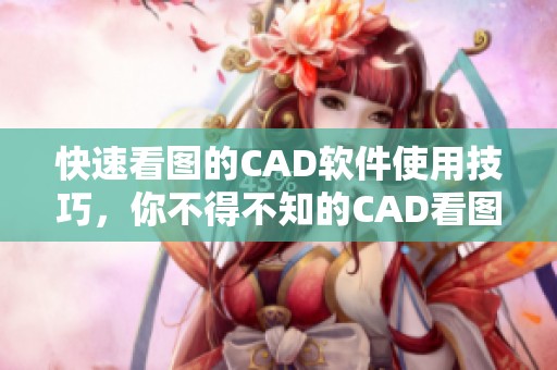 快速看图的CAD软件使用技巧，你不得不知的CAD看图方法
