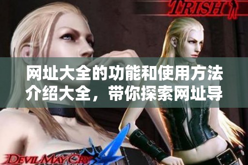 网址大全的功能和使用方法介绍大全，带你探索网址导航的世界