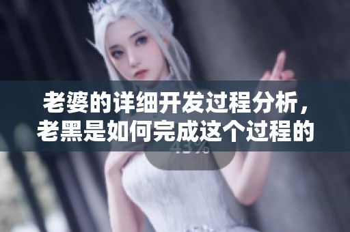 老婆的详细开发过程分析，老黑是如何完成这个过程的呢