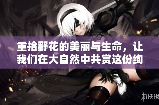 重拾野花的美丽与生命，让我们在大自然中共赏这份绚烂