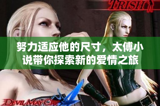 努力适应他的尺寸，太傅小说带你探索新的爱情之旅