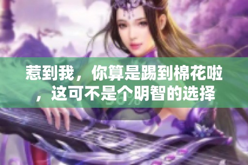 惹到我，你算是踢到棉花啦，这可不是个明智的选择