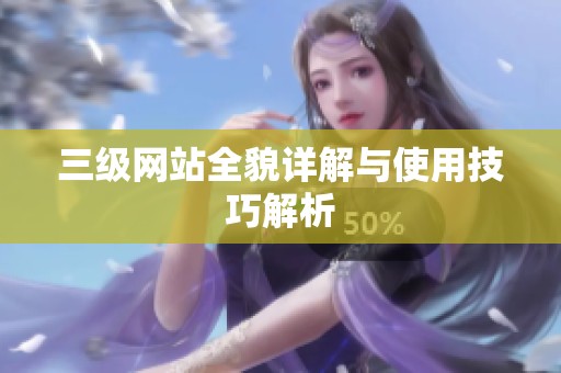 三级网站全貌详解与使用技巧解析