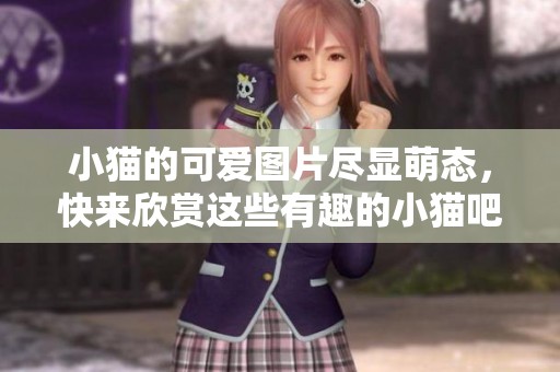 小猫的可爱图片尽显萌态，快来欣赏这些有趣的小猫吧