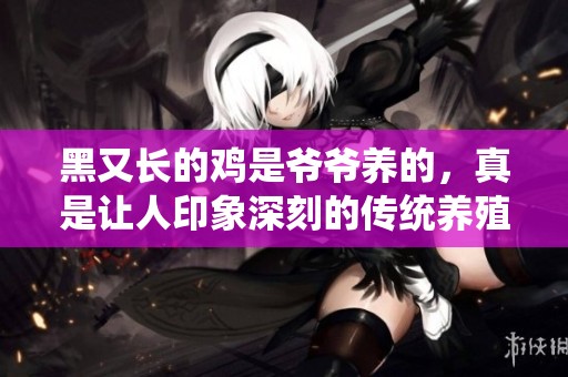 黑又长的鸡是爷爷养的，真是让人印象深刻的传统养殖方式