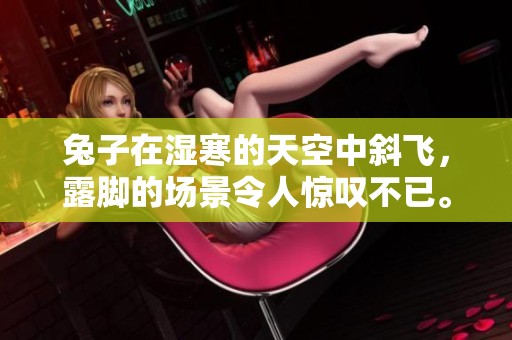 兔子在湿寒的天空中斜飞，露脚的场景令人惊叹不已。