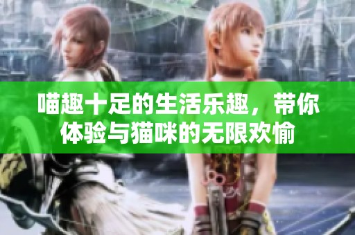 喵趣十足的生活乐趣，带你体验与猫咪的无限欢愉