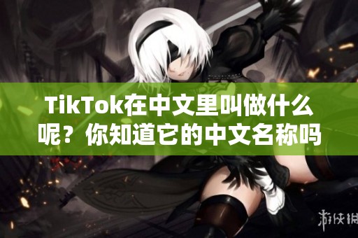 TikTok在中文里叫做什么呢？你知道它的中文名称吗？