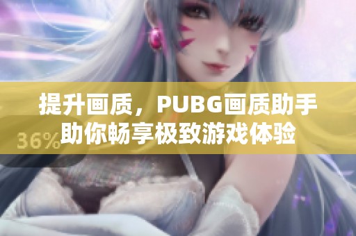 提升画质，PUBG画质助手助你畅享极致游戏体验