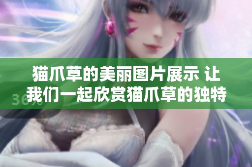 猫爪草的美丽图片展示 让我们一起欣赏猫爪草的独特魅力