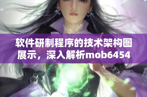 软件研制程序的技术架构图展示，深入解析mob6454cc782a8c软件的开发流程