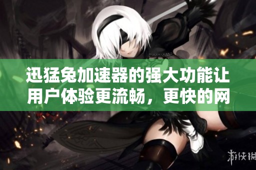 迅猛兔加速器的强大功能让用户体验更流畅，更快的网络连接在等待着你