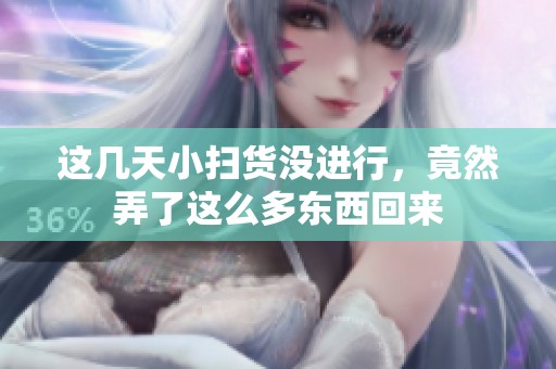 这几天小扫货没进行，竟然弄了这么多东西回来
