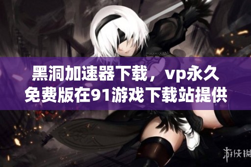 黑洞加速器下载，vp永久免费版在91游戏下载站提供下载服务