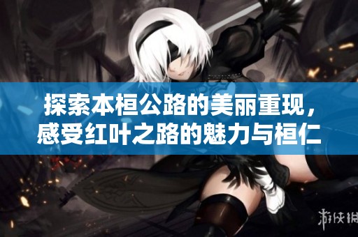 探索本桓公路的美丽重现，感受红叶之路的魅力与桓仁风光