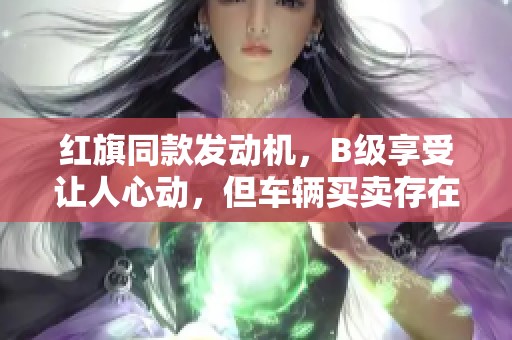 红旗同款发动机，B级享受让人心动，但车辆买卖存在争信瑕疵与无驾问题