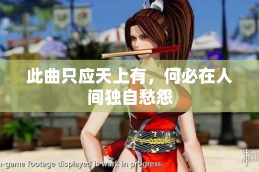 此曲只应天上有，何必在人间独自愁怨