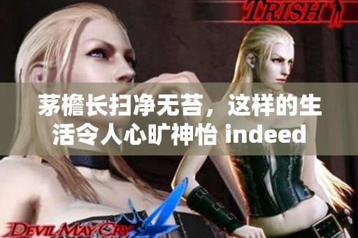 茅檐长扫净无苔，这样的生活令人心旷神怡 indeed