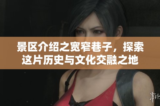 景区介绍之宽窄巷子，探索这片历史与文化交融之地