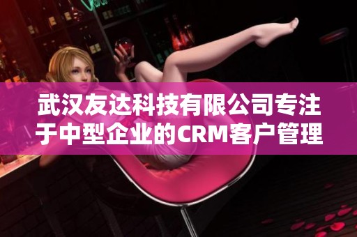 武汉友达科技有限公司专注于中型企业的CRM客户管理解决方案提高企业效率