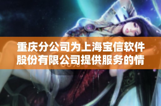 重庆分公司为上海宝信软件股份有限公司提供服务的情况分析