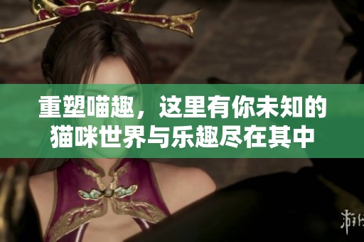 重塑喵趣，这里有你未知的猫咪世界与乐趣尽在其中
