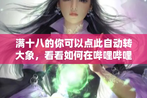 满十八的你可以点此自动转大象，看看如何在哔哩哔哩操作吧