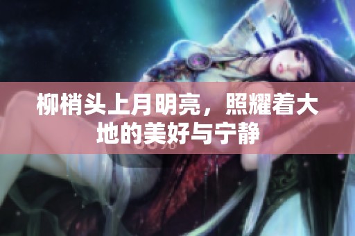 柳梢头上月明亮，照耀着大地的美好与宁静