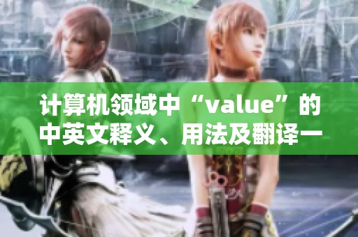 计算机领域中“value”的中英文释义、用法及翻译一览
