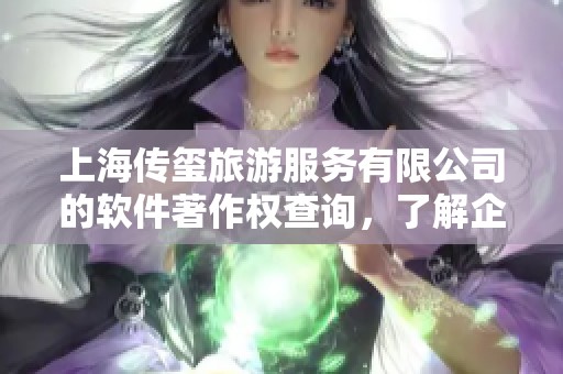 上海传玺旅游服务有限公司的软件著作权查询，了解企业软件著作权情况