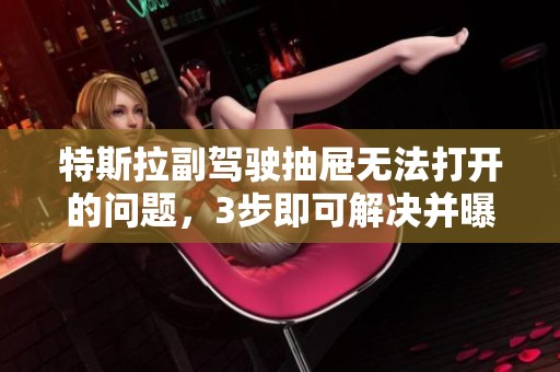 特斯拉副驾驶抽屉无法打开的问题，3步即可解决并曝光隐藏功能