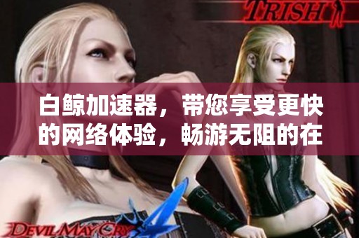 白鲸加速器，带您享受更快的网络体验，畅游无阻的在线世界