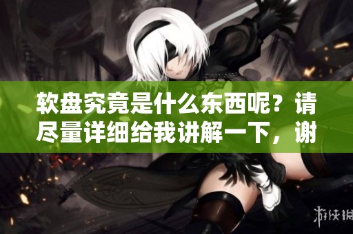 软盘究竟是什么东西呢？请尽量详细给我讲解一下，谢谢！